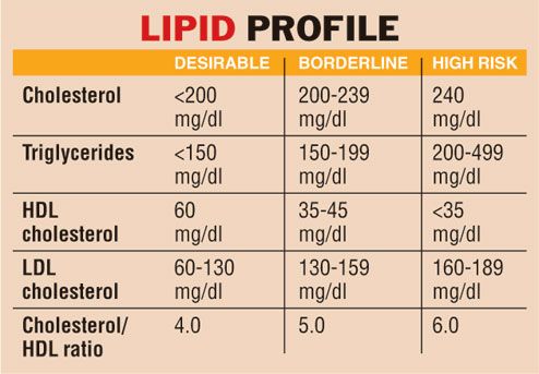 lipid